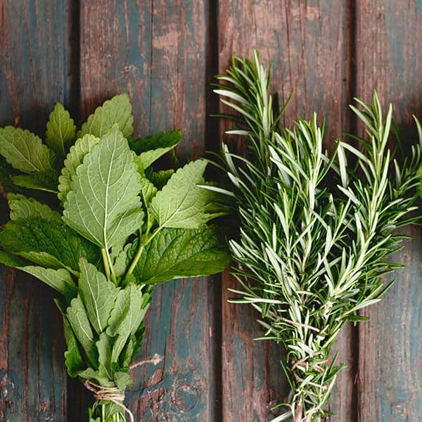 Rosemary and Mint for hair
